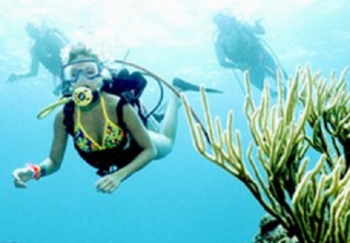 buceando en el mar.jpg